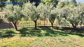 La Casa del Pozzo - Image 3