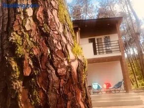 VIP Sweet Home in Shekvetili - Image 1