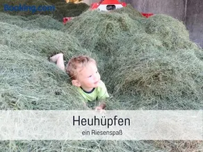 Ferienhof Eger - entspannter Urlaub mit Baby & Kleinkind - wahlweise top modern oder günstige Fewos - ruhig am Ende der Straße - Kälbchen füttern - Traktor fahren - Freie Fahrt mit den Hörnerbahnen in Sommersaison - E-Ladestation - E-bike Verleih ab Hof - Image 4