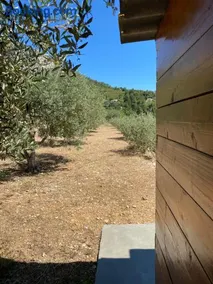 Cabanon insolite au coeur de la Provence - Image 3