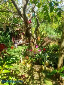 Casa de vidro - Image 2