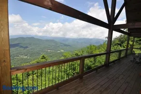 A Bear`s Retreat - Image 1