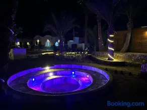Dolphin Camp - Image 2