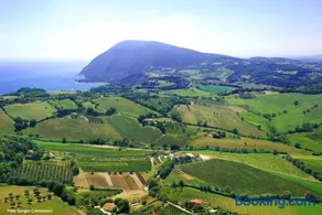 Agriturismo Le Vigne del Conero - Image 2