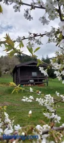 Chata na samotě, Šumava - Image 1