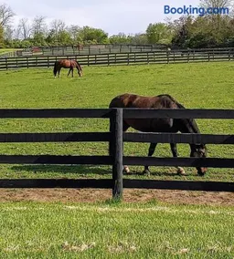 102 Acre Pet Friendly Horse Farm! Bring your horse too! - Image 2