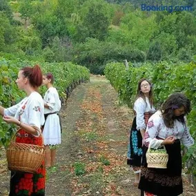 Kuca za odmor RADMILA - Rogljevacke pivnice - Image 3