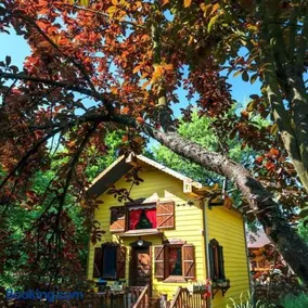 Abant Korudam bungalov butik otel - Image 3