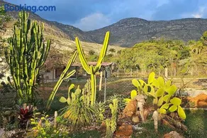 CASA canela de ema - Image 3