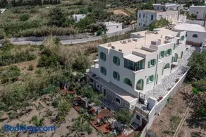 Naxos olive & home - Image 2