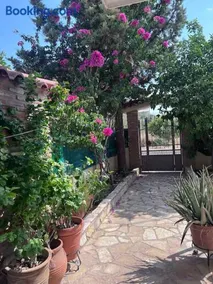 Kosta's elegant house - Image 1