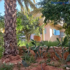 Oasispalmares - Image 3