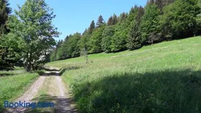 Ferienhaus Moosbachtal Thüringer Wald bei Oberhof - Image 1
