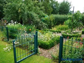 Wohnung mit Grill, Garten und Terrasse | Naturblick - Image 1