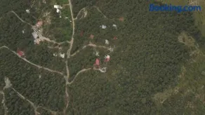 Lions King cabin woods - Image 2
