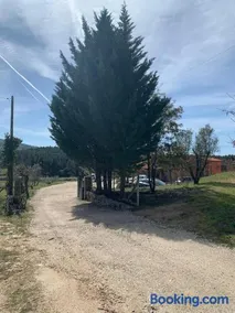 Quinta dos Cedros l Turismo Rural - Image 3