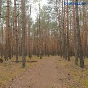 Kamiennikove - Image 5