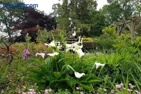 Secret Cottage in the Garden - Image 4
