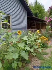 Restored1850s log cabin, with gazebo and gardens! 1 mile to downtown Weaverville - Image 1