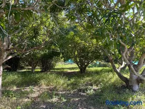 GSM Bamboo Farm RV and Caravan site - Image 3