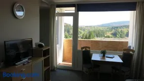 Ferienwohnung Harz - Image 1