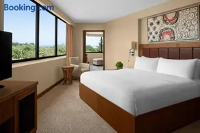 InterContinental Al Jubail Resort - Image 5