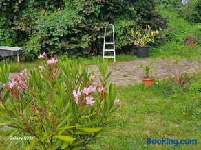 De Weerribben Wieden, Natuurhuisje - Image 3