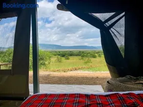 Mattikoko Safari Camp - Image 4