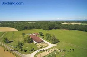 La mare aux grenouilles - Image 3