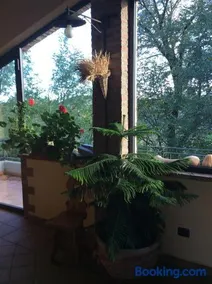 B&B Villa Rossana - Image 3