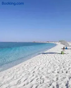 La Conchiglia sul Mare - Image 1