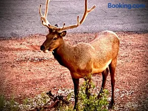 Hidden Gem Retreat in the Heart of Payson - Image 5