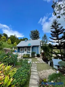 Tip House - Image 1