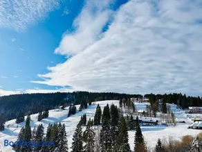 Mitten auf dem Feldberg Panorama Apartment Bergglück - Image 4