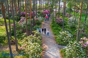 Valoisa yksiö parvekkeella - Image 2