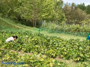 体験型農家民泊「お陽さまと風」 - Image 3