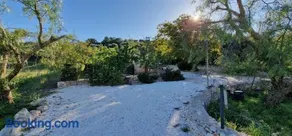 Trullo Grande Noce - Image 1