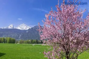 Triembachhof - Image 4