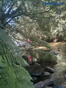 Cabaña borde rio - Image 2