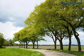 Het Schepershoes - Image 4