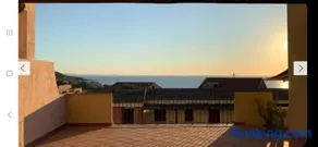 La tartaruga - Image 3