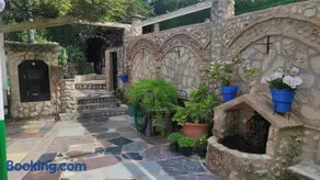 Los rosales - Image 4