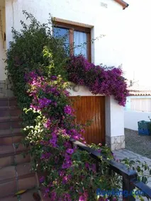 CA L' ANGELINA - Image 2