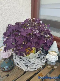 FeWo Weimar - Image 3
