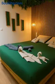 Jungle Room - Sauna, Jacuzzi, Cinéma - Hyper Centre - Image 1