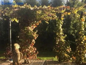 a'meadow - Image 2