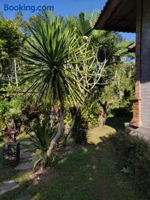 Dina Homestay - Image 3