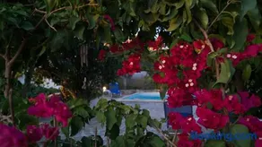 Zamaros Traditional Villa - Image 5
