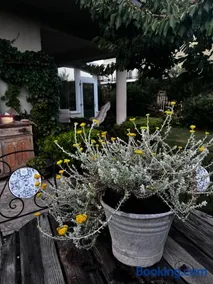 Il giardino di Chiara 1 Rifugio per anime stanche - Image 2