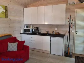 Modern holiday cabin in Saimaa - Image 1